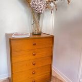 Vintage Scandinavian chest of drawers, 1960