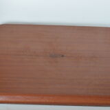 Platex tray