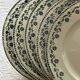 Georgette Iron Earth Plates