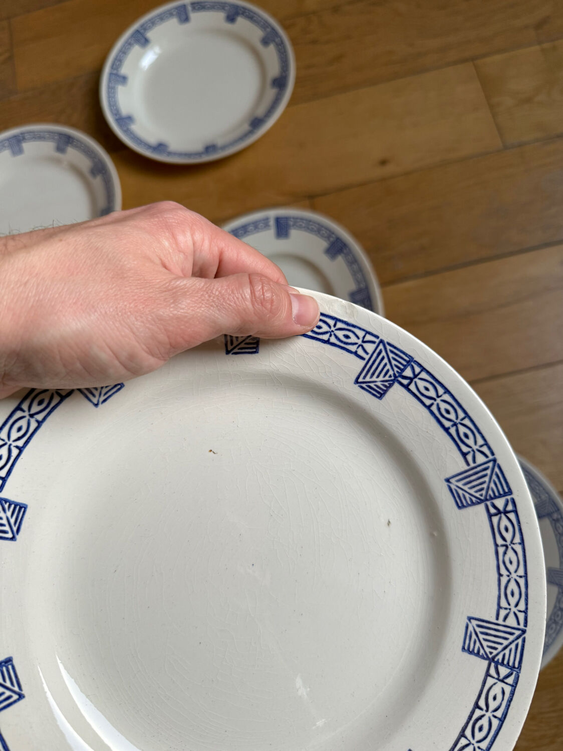 Set of 7 flat plates and 1 dish Lorris Gien