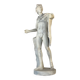 Apollo of the Belvedere, plaster cast after the Antique, around 1900