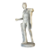 Apollo of the Belvedere, plaster cast after the Antique, around 1900