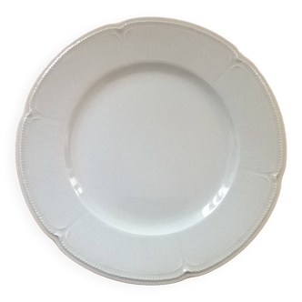 Antique plates Fine porcelain from Limoges GDA