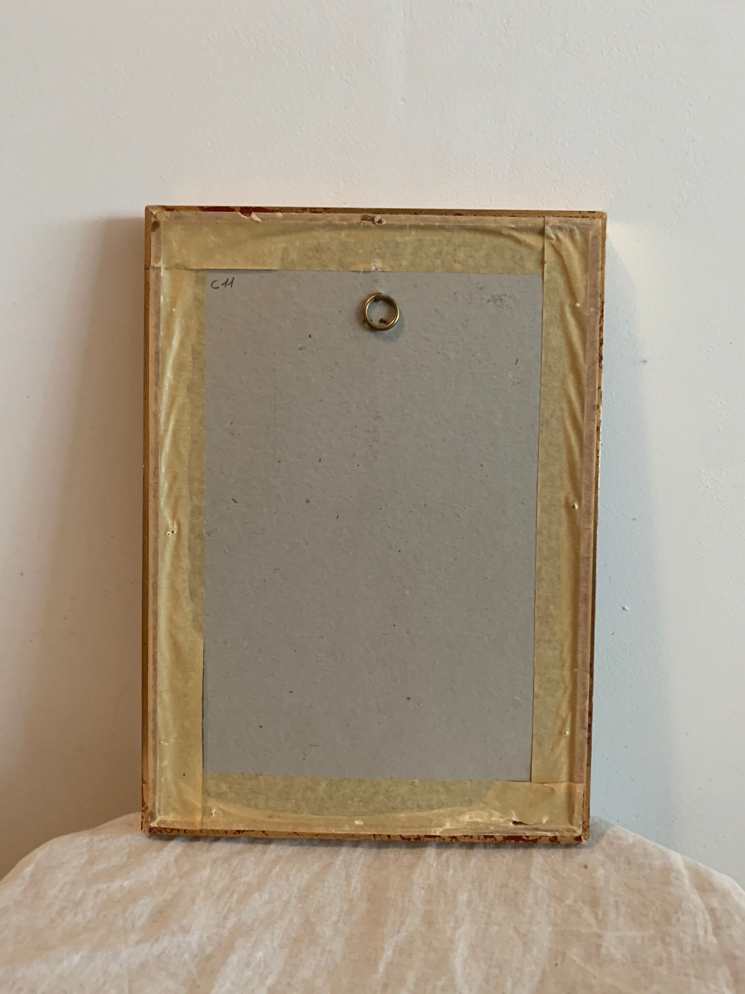 Lot of plant engravings