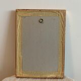 Lot of plant engravings