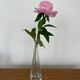 Soliflore vase H27cm signed Cristallerie Lorraine