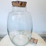 Terrarium verre