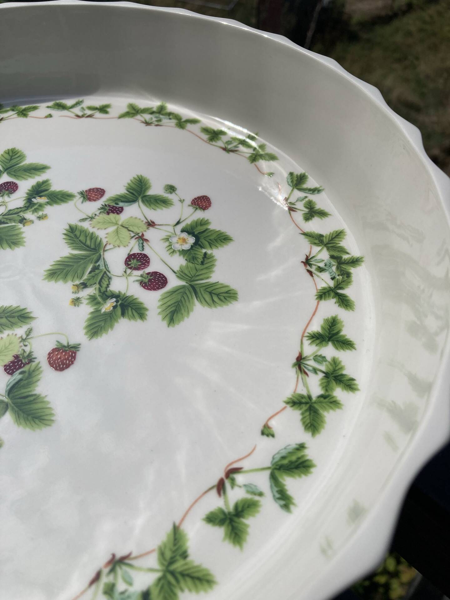 Flan mould Susan Williams-Ellis botanical patterns