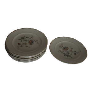 Lot de 10 assiettes plates - amand ceranord
