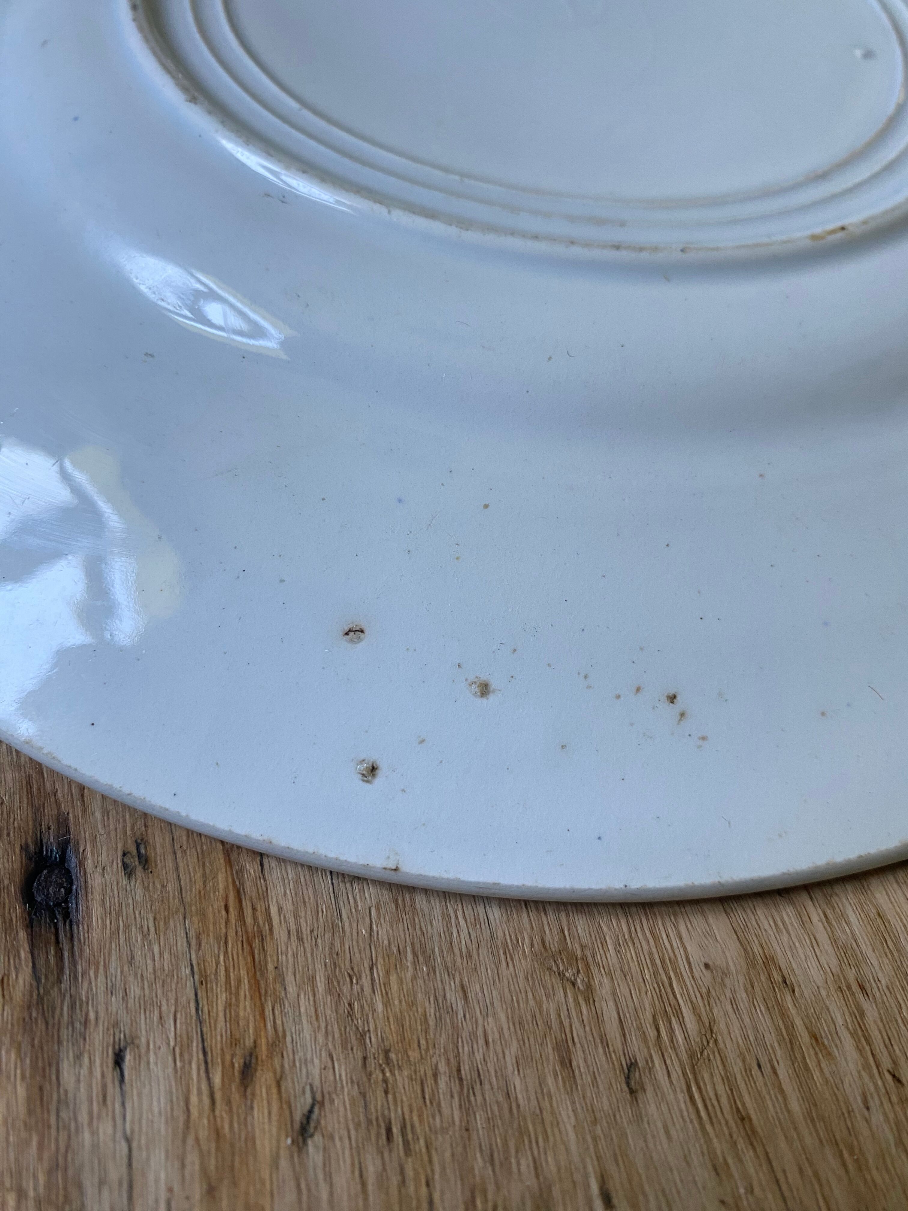 Plate decorated with blue birds and butterflies