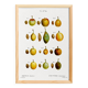 Botanical poster of the domestic plum tree, based on an old engraving