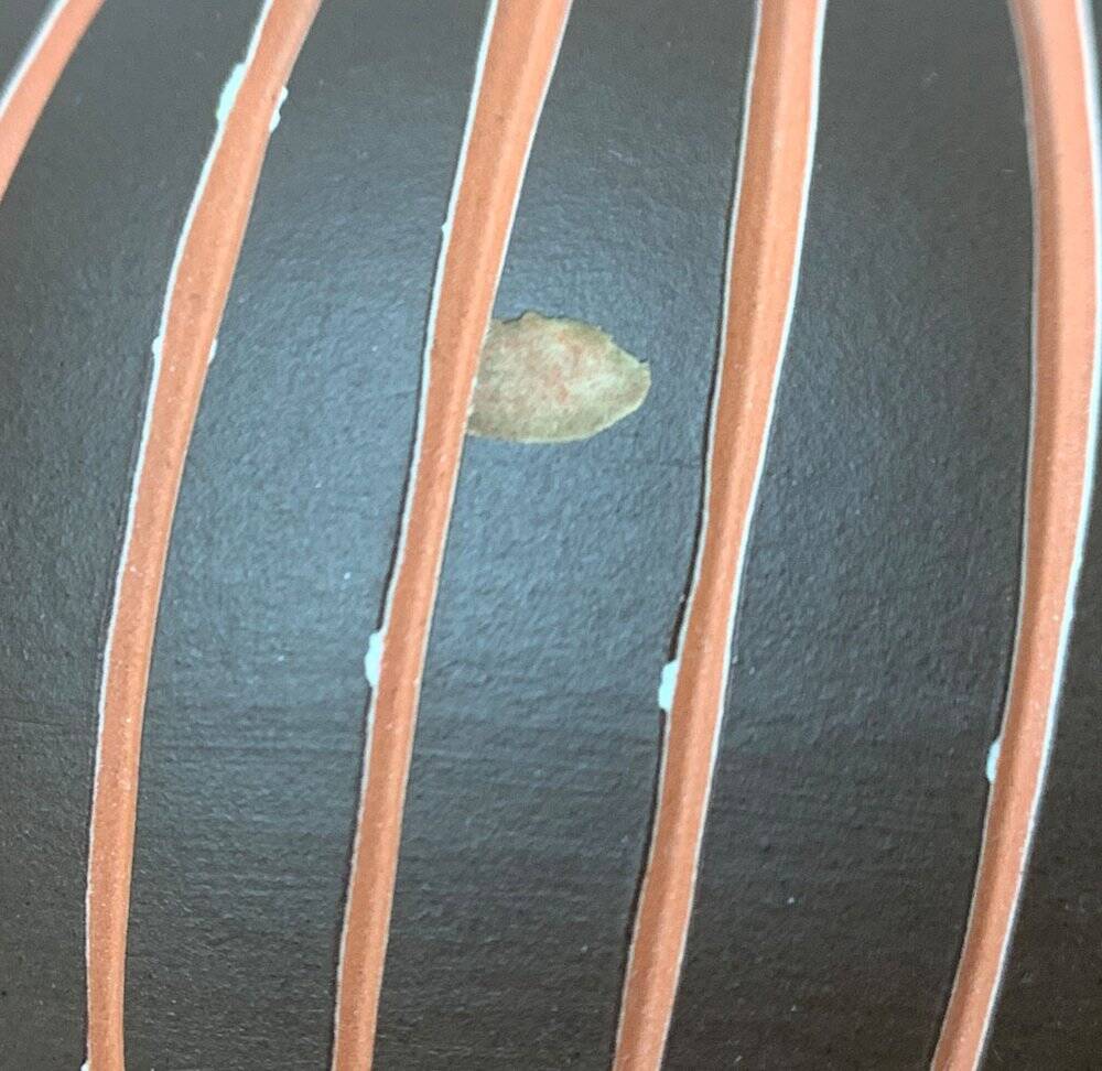 Wormser Terra-Sigillata pottery vase from Germany, mid-century, 1960s.