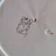 Creil & Montereau plates, ochre floral decoration, 1930s