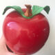 Vintage toy happy Apple Fisher Price