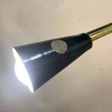 Lustre à 12 branches Sputnik Stilnovo des années 1950