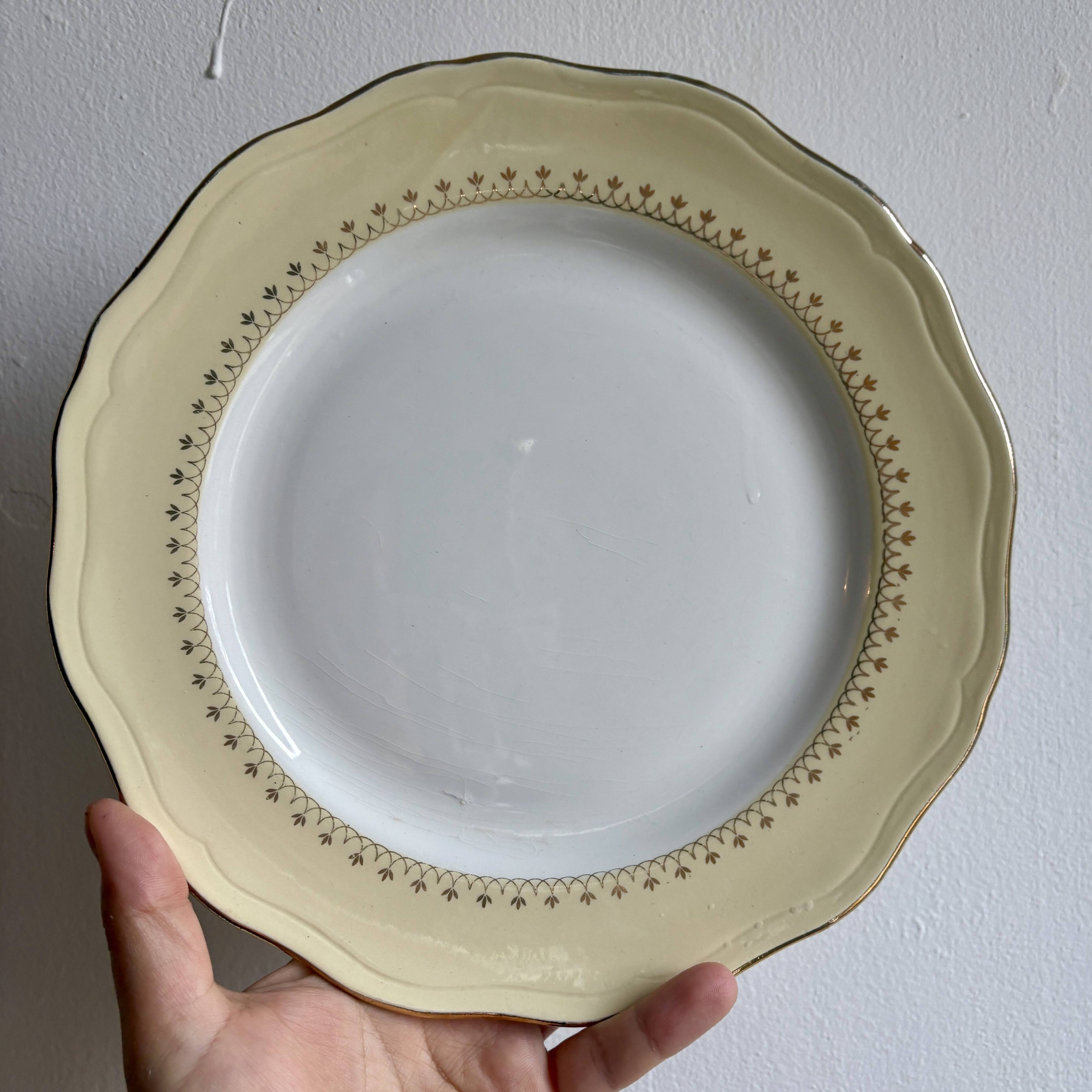 Set of 6 vintage white dinner plates with yellow and gold trim.