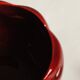 Tomato slushie condiment pot