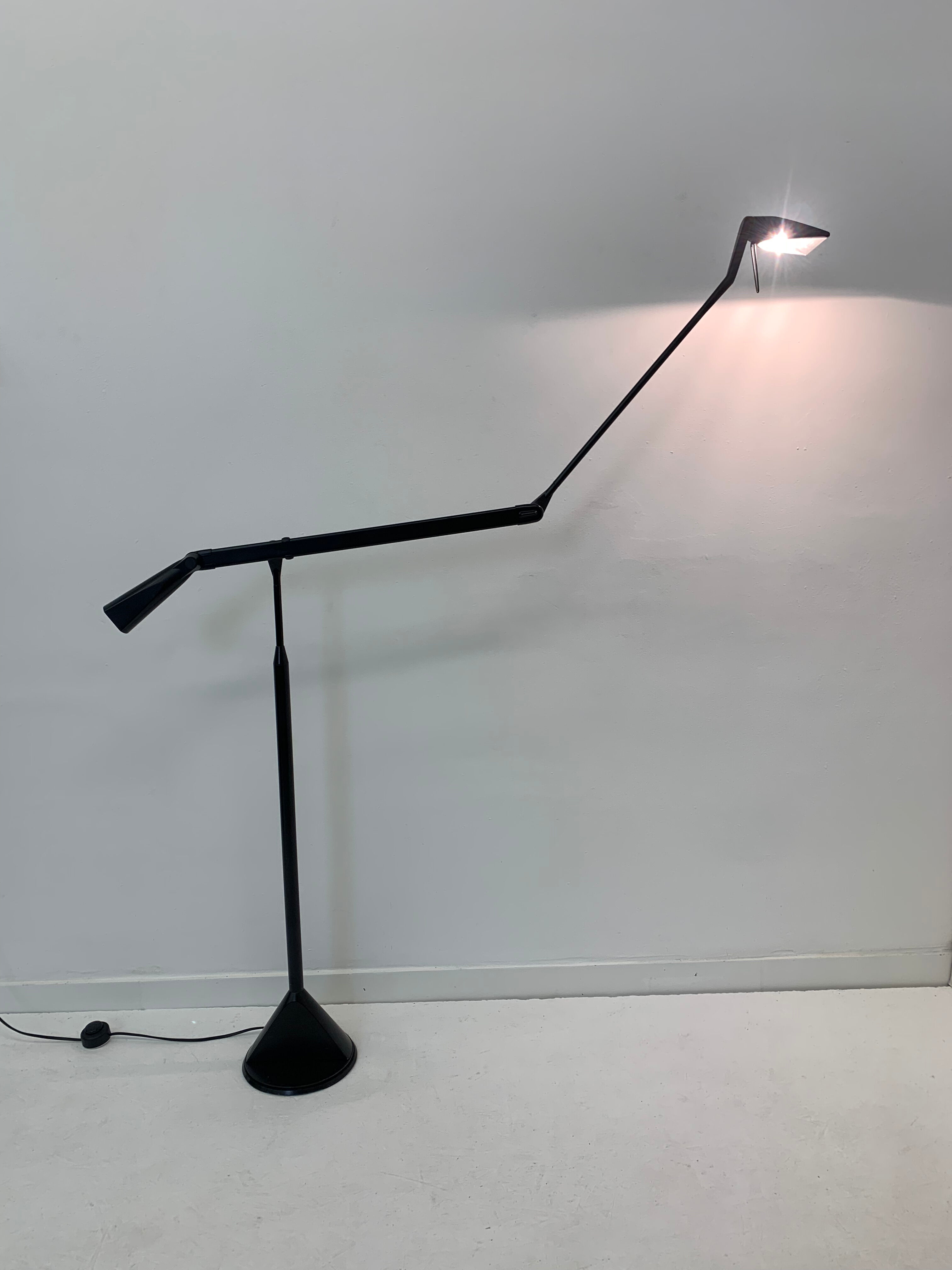 Zelig Terra Floor Lamp by Walter Monici for Lumina, 1980s