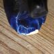 6 knife-wielding colorful ceramic dogs 60s