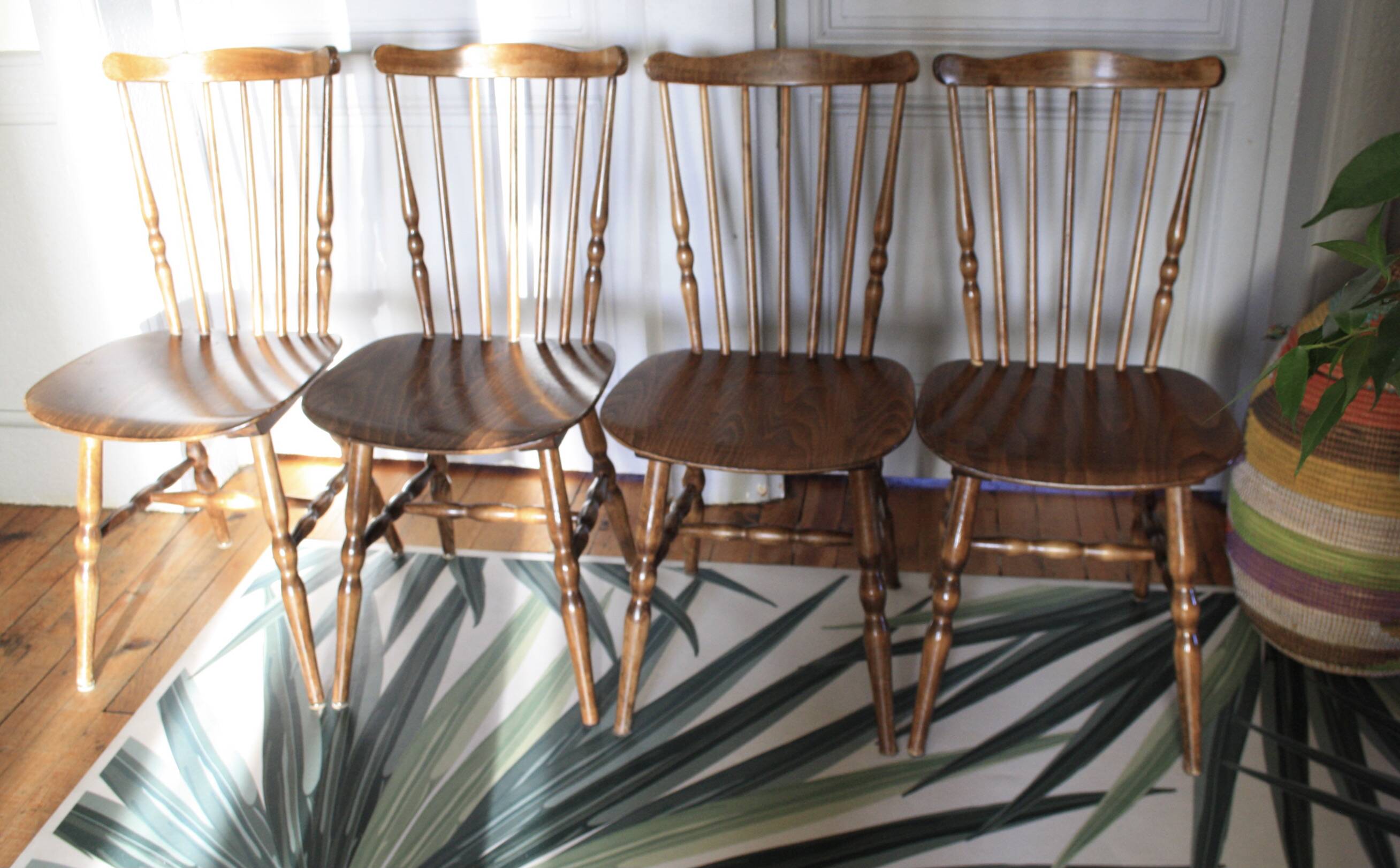 Baumann Tacoma chairs