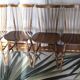 Chaises Baumann Tacoma