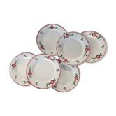 Old X6 flat plates model "Domino" of the French factory of Digoin