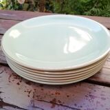 Salins flat plates