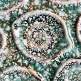 Niderviller oyster plates x12