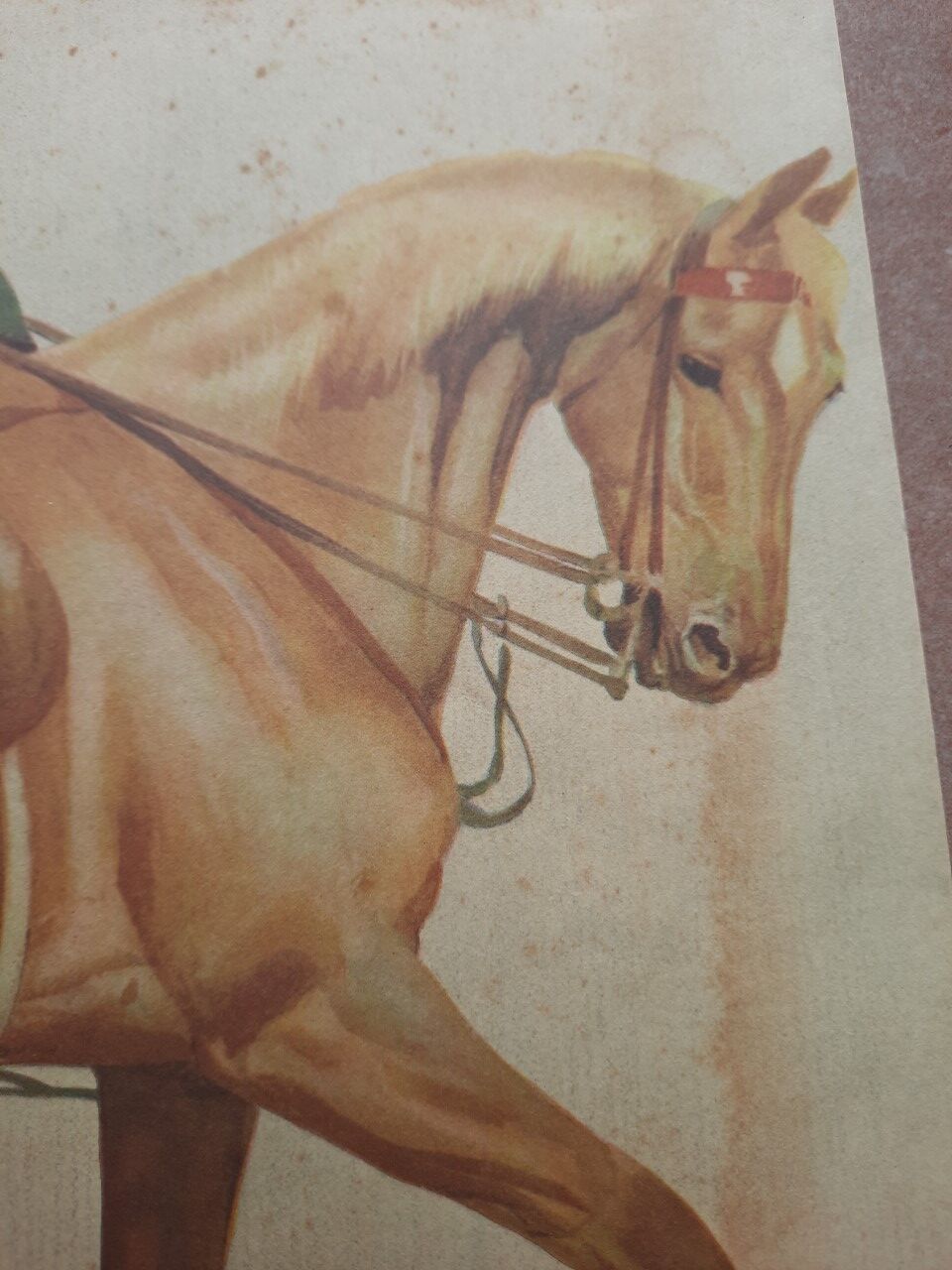 Old print early twentieth century