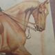Old print early twentieth century