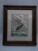 2 framed plates, quail and jabiru, buffon