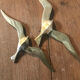 Pair of brass swallows