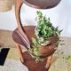 Sellette ancienne en bois - porte-plantes tripode