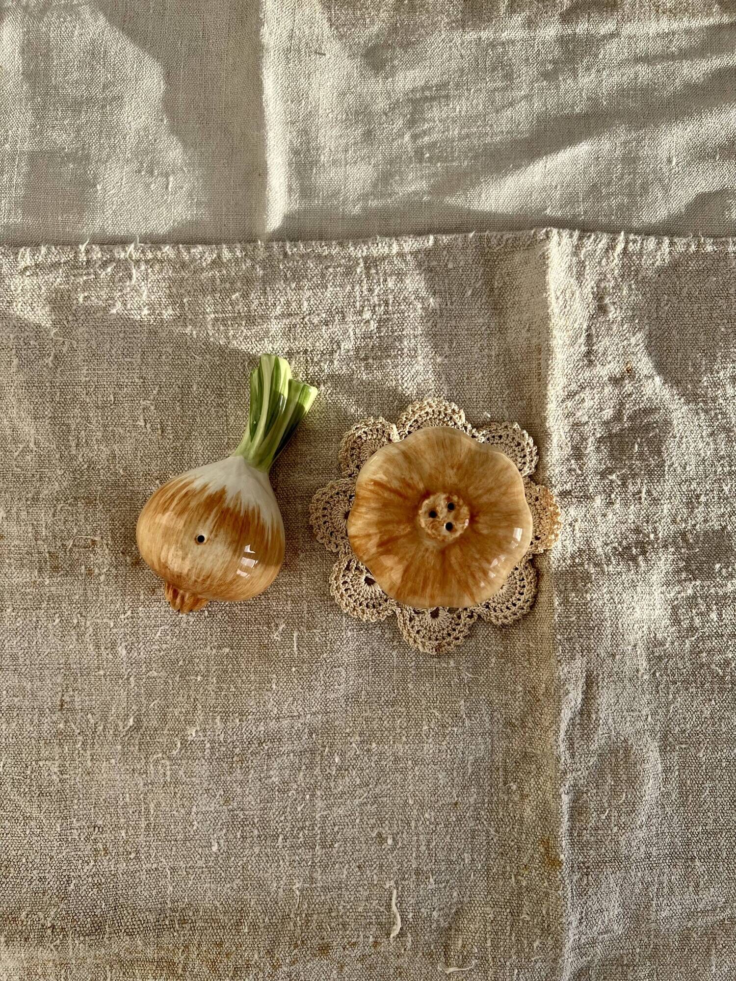 Vintage salt and pepper shaker in colorful vegetable, garlic and onion slip