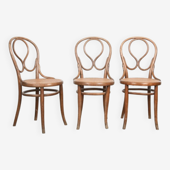 3 THONET OMEGA model chairs