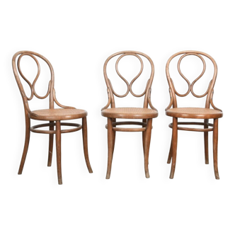 3 chaises THONET modèle OMEGA