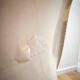 Paire de chaises vintage Tulipe, Eero Saarinen pour Pastoe