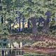 Watercolor "the pond in the undergrowth" signed early XX °