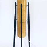 Mid-Century Space Age Rocket Floor Lamp by Novoplast, Czechoslovakia, 1950s