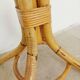Rattan parrot coat rack