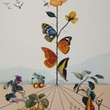 Salvador Dali: Flordali, The Butterfly Rose, original signed lithograph