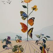 Salvador Dali: Flordali, The Butterfly Rose, original signed lithograph
