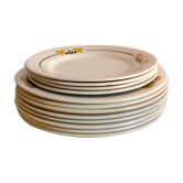 Flat plates and dessert plates Terre de Fer