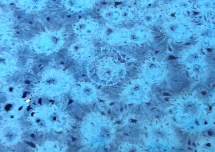 Presentation bowl enamelled ceramic, speckled navy blue