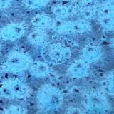 Presentation bowl enamelled ceramic, speckled navy blue