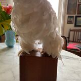 Naturalized hen