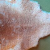 shiny sheepskin