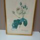 Old frame Rose bush with lettuce leaves PJ Redouté