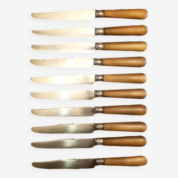 Set of 10 horn handle knives