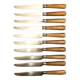 Lot de 10 couteaux manche en corne